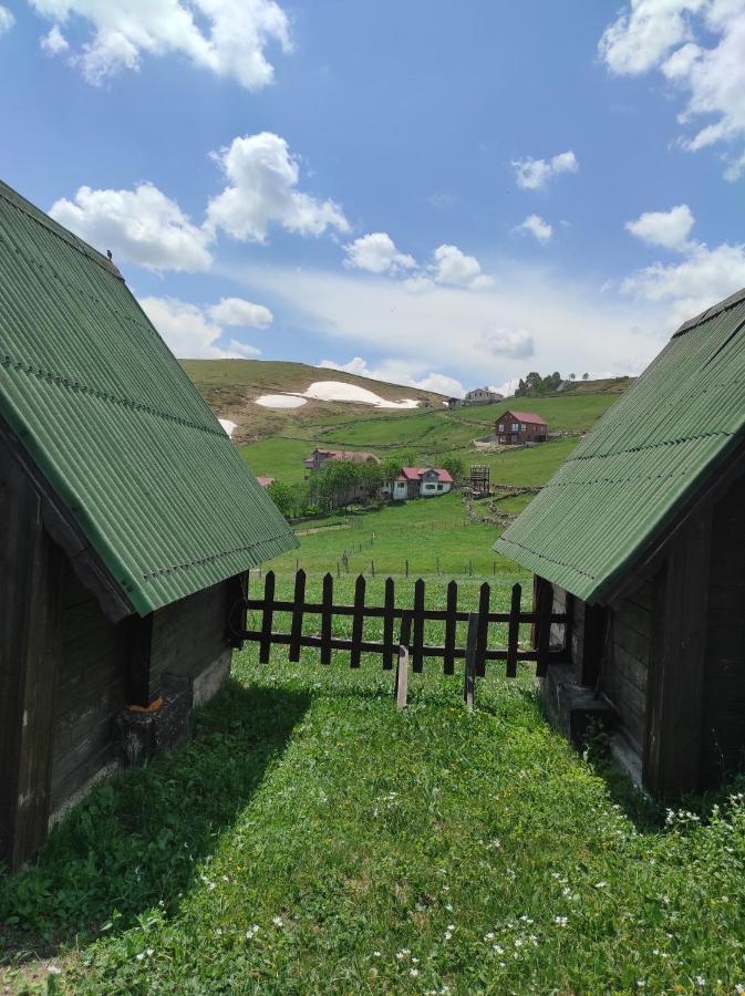 Birlik Yaylakent Caykara Bagian luar foto